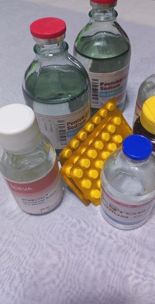 cyanide,Nembutal, farxiga,botox,trazadone,methadone,consentyx pens,naproxen,viagra,otezla,mephedrone,tramadol,Biskorycin Ofcipene, Ciplox